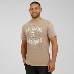 Tan St. Louis Cardinals Darius Rucker Collection by Fanatics Sun Faded T-Shirt