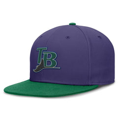 Purple/Green Tampa Bay Rays Nike True Primetime Two-Tone Performance Fitted Hat