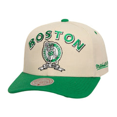 Mitchell & Ness Boston Celtics 17x NBA Champions Soul Legacy Defined Pro Crown Snapback Hat