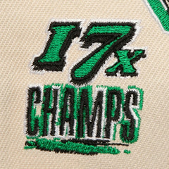 Mitchell & Ness Boston Celtics 17x NBA Champions Soul Legacy Defined Pro Crown Snapback Hat
