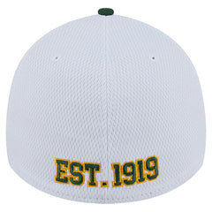 Dashmark Rays 39THIRTY Flex Hat - Green Bay Packers Hats