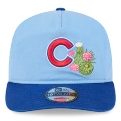 Light Blue/Royal Chicago Cubs New Era 2026 Spring Training 19TWENTY Adjustable Hat