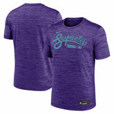 Purple Arizona Diamondbacks Nike Authentic Collection City Connect Velocity Dri-FIT T-Shirt