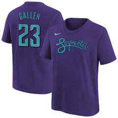 Purple Zac Gallen Arizona Diamondbacks Nike Youth Fuse City Connect Name & Number T-Shirt