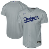 Gray Los Angeles Dodgers Nike Youth Alternate Replica Jersey