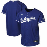 Royal Los Angeles Dodgers Nike Youth Alternate 2 Stadium Jersey