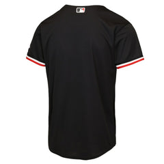 Black Minnesota Twins Nike Youth Alternate 2 Stadium Jersey