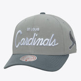 Gray St. Louis Cardinals Mitchell & Ness Thunderstorm Head Coach Pro-Crown Adjustable Hat