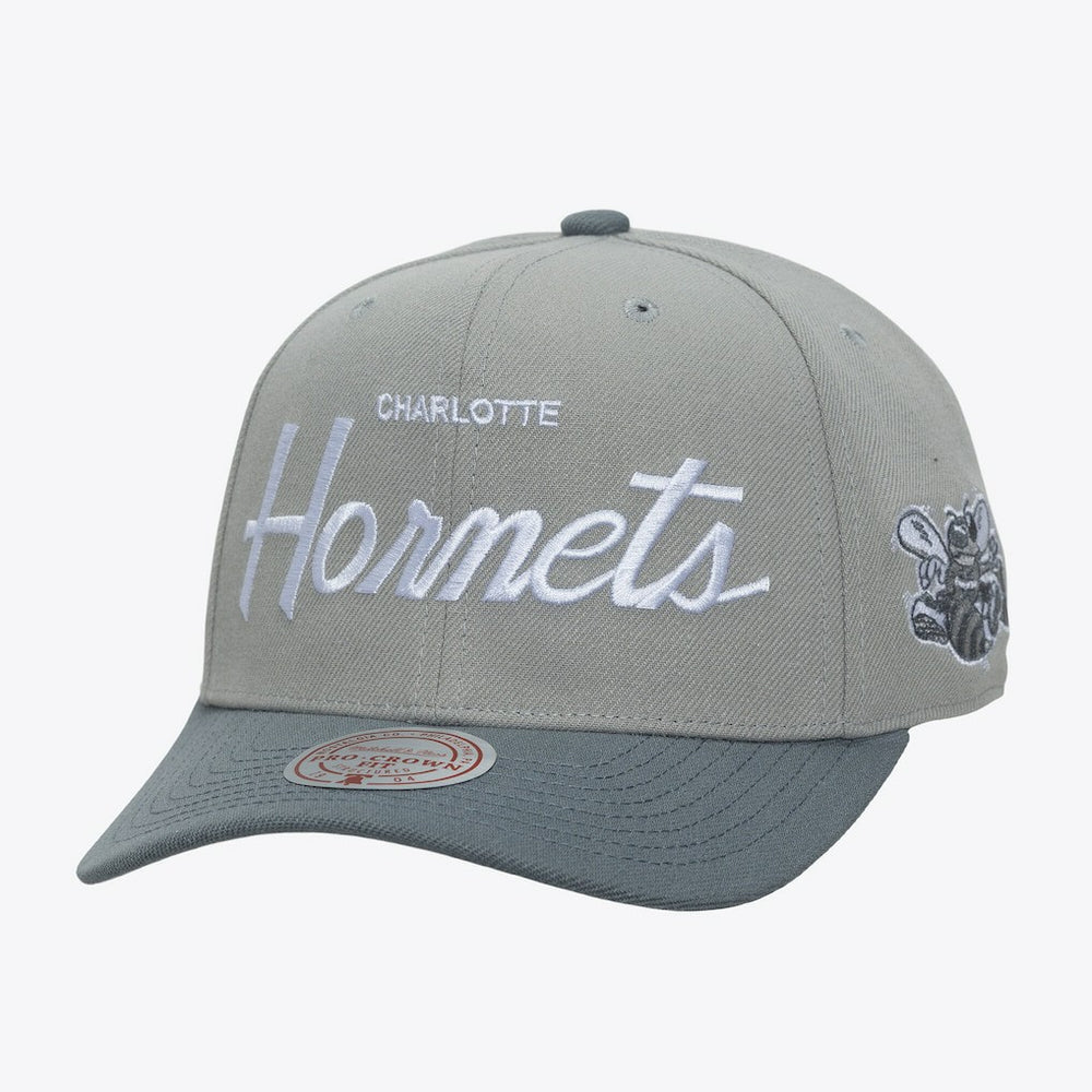 Mitchell & Ness Charlotte Hornets Thunderstorm Head Coach Pro Crown Snapback Hat