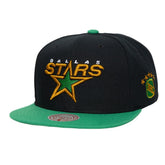 NHL Dallas Stars Mitchell & Ness Legendary Away Snapback Hat