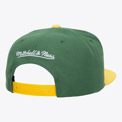NHL Minnesota Wild Mitchell & Ness Legendary Home Snapback Hat