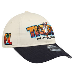 Stone/Navy Detroit Tigers New Era Youth 2026 Spring Training Fan Pack Batter 9TWENTY Adjustable Hat