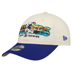 Stone/Royal Texas Rangers New Era Youth 2026 Spring Training Fan Pack Batter 9TWENTY Adjustable Hat