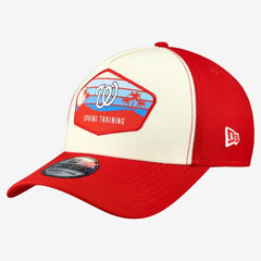 Stone Washington Nationals New Era 2026 Spring Training Fan Pack Gradient 39THIRTY Flex Hat