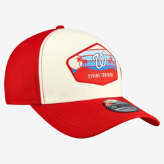 Stone Washington Nationals New Era 2026 Spring Training Fan Pack Gradient 39THIRTY Flex Hat