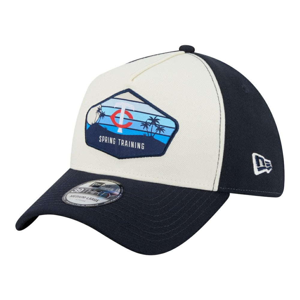 Stone Minnesota Twins New Era 2026 Spring Training Fan Pack Gradient 39THIRTY Flex Hat