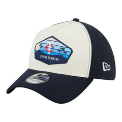 Stone Minnesota Twins New Era 2026 Spring Training Fan Pack Gradient 39THIRTY Flex Hat
