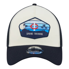 Stone Minnesota Twins New Era 2026 Spring Training Fan Pack Gradient 39THIRTY Flex Hat
