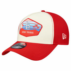 Stone St. Louis Cardinals New Era 2026 Spring Training Fan Pack Gradient 39THIRTY Flex Hat