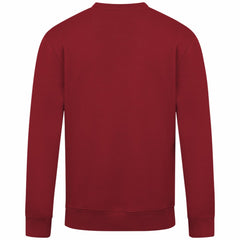 Red Arizona Diamondbacks Levelwear Zane Banner Arch Sweatshirt