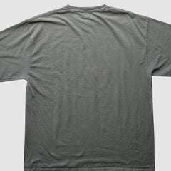 Gray Texas Rangers 2010 T-Shirt