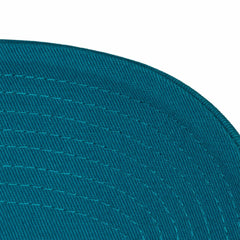 Mitchell & Ness Charlotte Hornets Hardwood Classics 1904 Adjustable Hat