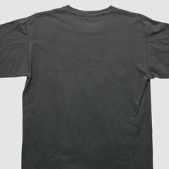 NFL 2000s T-shirt - Pittsburgh Steelers T-shirts