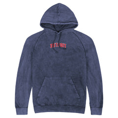 Detroit Pistons Stadium Essentials Unisex Get Back Vintage Raglan Hoodie sale