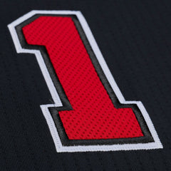 Mitchell & Ness Derrick Rose Chicago Bulls 2010-11 Authentic Jersey sale