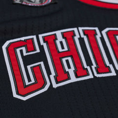 Mitchell & Ness Derrick Rose Chicago Bulls 2010-11 Authentic Jersey sale