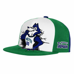 Mitchell & Ness Minnesota Timberwolves Youth Mascot Snapback Hat