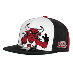 Mitchell & Ness Chicago Bulls Youth Mascot Snapback Hat