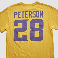 NFL 2000s T-shirt - Minnesota Vikings T-shirts