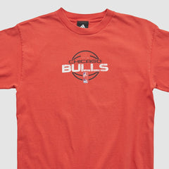 Adidas Chicago Bulls 2010s T-shirt sale