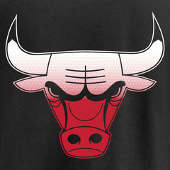 Chicago Bulls Gradient Logo T-Shirt sale