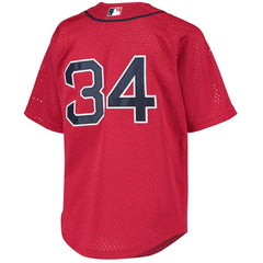 Red David Ortiz Boston Red Sox Mitchell & Ness Youth Cooperstown Collection Batting Practice Jersey