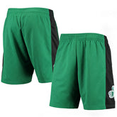 Mitchell & Ness Boston Celtics 2007 Hardwood Classics 75th Anniversary Swingman Shorts