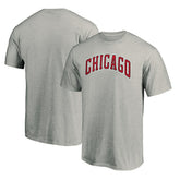 Chicago Bulls Alternate Logo T-Shirt sale