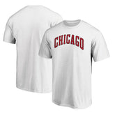 Chicago Bulls Alternate Logo T-Shirt sale