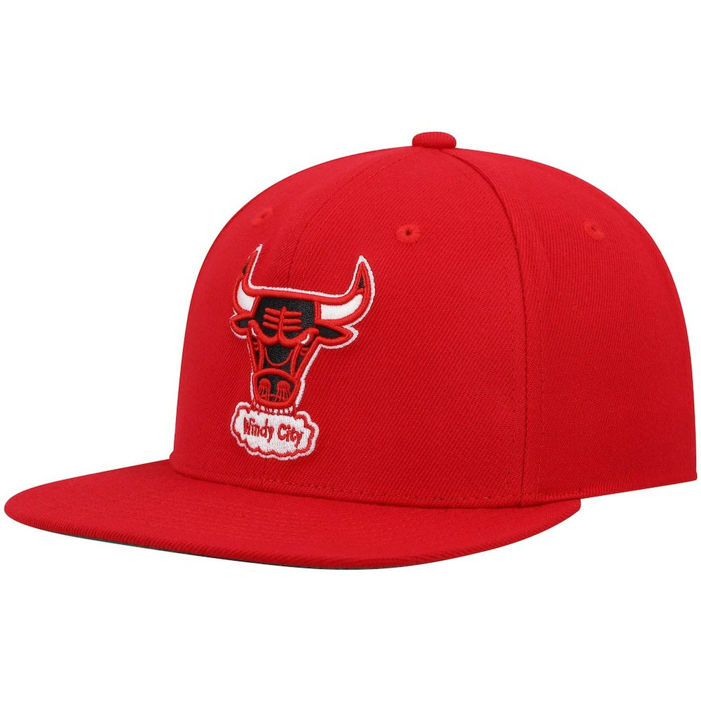 Mitchell & Ness Chicago Bulls Hardwood Classics Team Ground 2.0 Snapback Hat