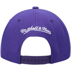 Mitchell & Ness Phoenix Suns Hardwood Classics Team Ground 2.0 Snapback Hat