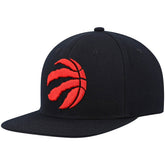 Mitchell & Ness Toronto Raptors Ground 2.0 Snapback Hat