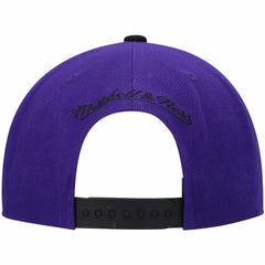 Mitchell & Ness Sacramento Kings Hardwood Classics Snapback Hat