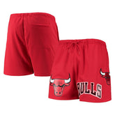 Chicago Bulls Pro Standard Mesh Capsule Shorts