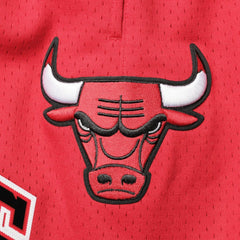 Chicago Bulls Pro Standard Mesh Capsule Shorts