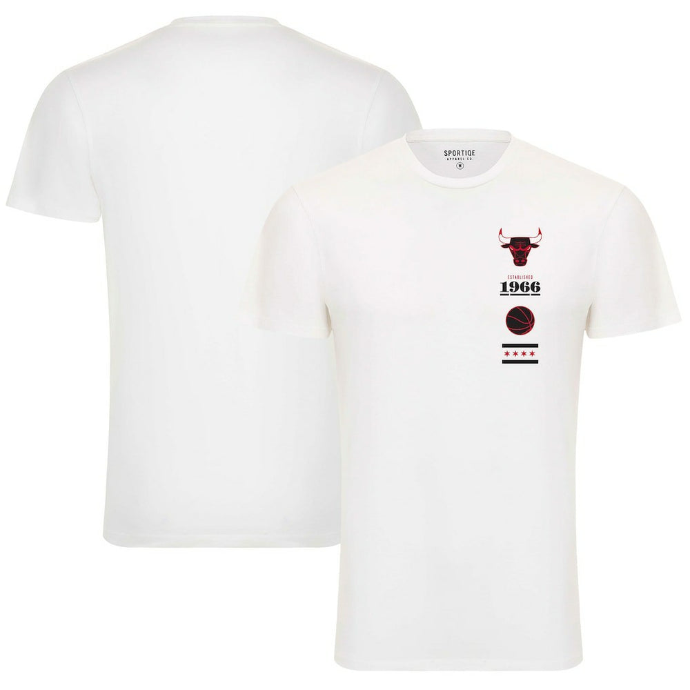 Chicago Bulls Sportiqe Unisex 1966 Collection City Flag Bingham T-Shirt sale