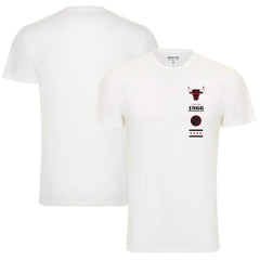 Chicago Bulls Sportiqe Unisex 1966 Collection City Flag Bingham T-Shirt sale