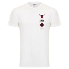 Chicago Bulls Sportiqe Unisex 1966 Collection City Flag Bingham T-Shirt sale