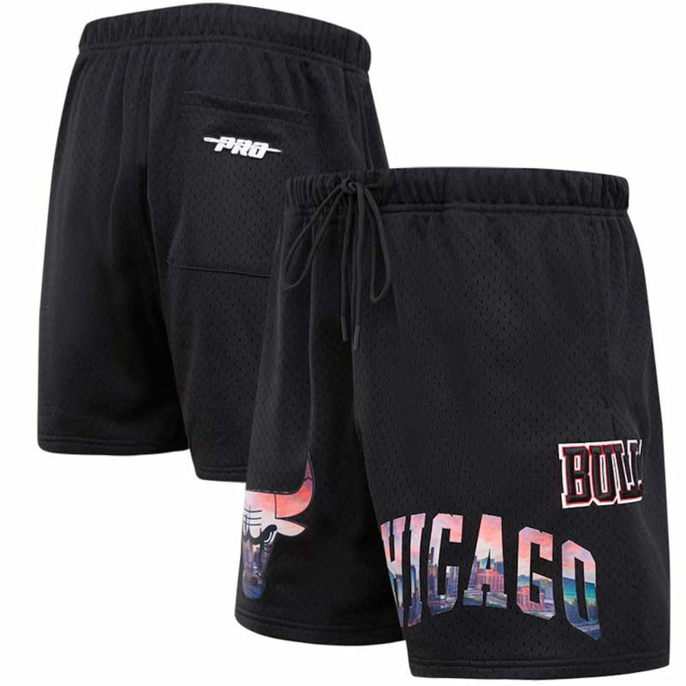 Chicago Bulls Pro Standard City Scape Mesh Shorts