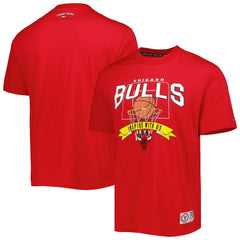 Chicago Bulls Tommy Jeans Tim Backboard T-Shirt sale